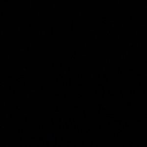 Meet your Posher, Riston